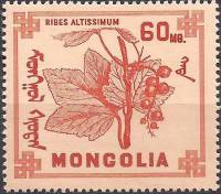 (1968-014) Марка Монголия "Смородина высочайшая"    Ягоды III Θ
