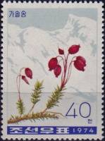 (1974-083) Марка Северная Корея "Филлодоце голубая"   Горные цветы III O