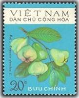 (1975-018) Марка Вьетнам "Розовое яблоко"   Фрукты III Θ