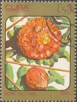(1984-023) Марка Куба "Роза Венесуэлы"    Цветы II Θ