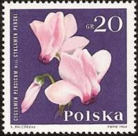 (1964-083) Марка Польша "Цикламен персидский"   Садовые цветы II O