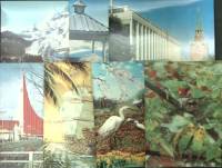 Набор стерео-открыток, 7 шт., 14,5*10,5 см.