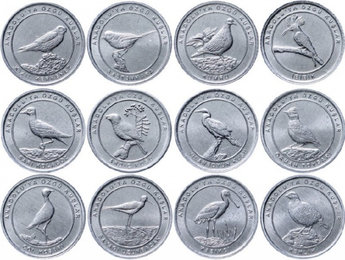 (2020 12 монет по 1 курушу) Набор монет Турция 2020 год &quot;Птицы&quot;   UNC