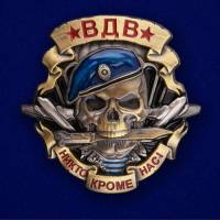Знак ВДВ "Череп" №208(566)