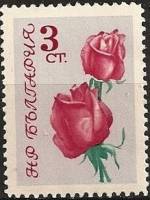 (1962-031) Марка Болгария "Роза (Розовый, серый)"   Розы III Θ