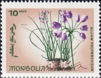 (1966-027) Марка Монголия "Лук многокорневой"    Эндемические цветы I Θ