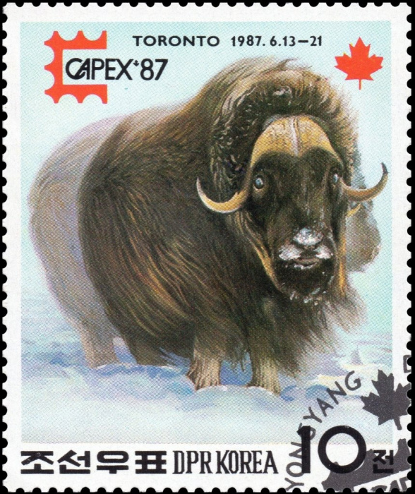 (1987-061) Марка Северная Корея &quot;Овцебык&quot;   Выставка почтовых марок CAPEX '87, Торонто III Θ