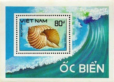 (1988-080) Блок марок  Вьетнам "Мозаичный тун"    Раковины молюсков III &Theta;
