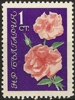(1962-029) Марка Болгария "Роза (Розовый, фиолетовый)"   Розы I Θ