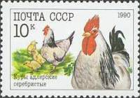(1990-061) Марка СССР "Куры адлерские"   Домашние птицы III Θ