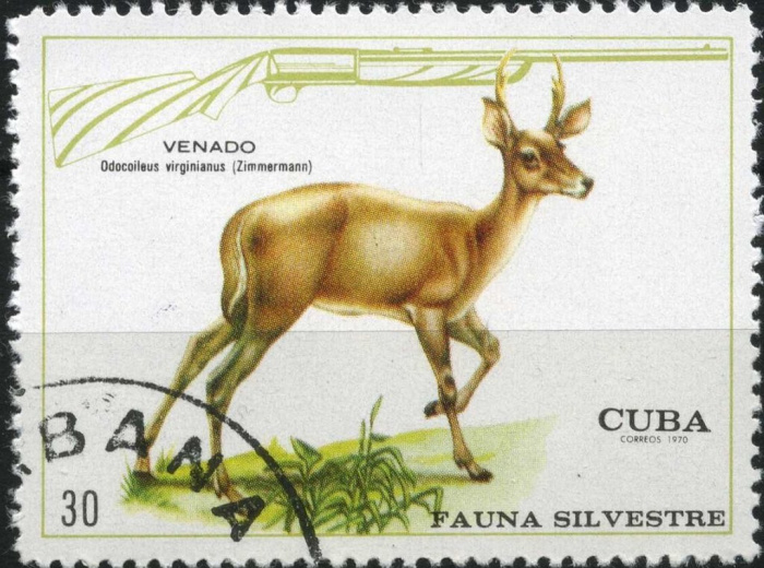 (1970-078) Марка Куба &quot;Белохвостый олень&quot;    Лесная фауна II Θ