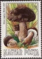 (1984-052) Марка Венгрия "Белый гриб"    Съедобные грибы II Θ