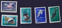 1972-003-7  Серия Набор марок (5 шт) СССР   Водоплавающие птицы - обитатели морей и океанов II Θ
