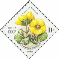 1981-049 Марка СССР Парагеум горный  Цветы украинских Карпат II Θ