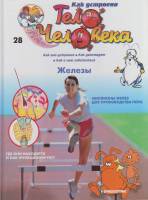 Книга Как устроено тело человека. Железы 2007 № 28 Москва Твёрдая обл. 30 с. С цв илл