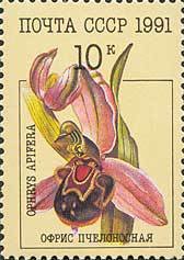 (1991-039) Марка СССР &quot;Офрис пчелоносная&quot;   Орхидеи III O