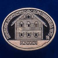 30386\133414 Значок "Дом О. Шевнева"