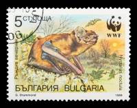 (1989-016) Марка Болгария "Рыжая вечерница"   Летучие мыши III Θ