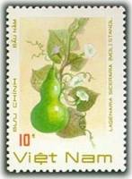 (1988-089) Марка Вьетнам "Горлянка"    Овощи III O