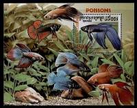 (№2000-269) Блок марок Камбоджа 2000 год "Чия", Гашеный