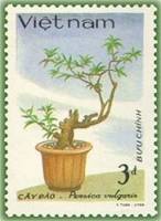 (1986-094) Марка Вьетнам "Персик"    Вьетнамский Бонсай III Θ