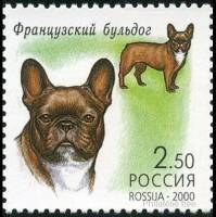 2000-063 Марка Россия Французский бульдог  Декоративные собаки III O