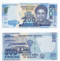 (,) Банкнота Малави 2013 год 200 квача "Роуз Чибамбо"   UNC