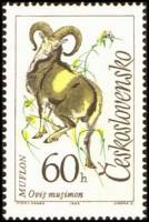 (1963-067) Марка Чехословакия "Муфлон "    Животные III Θ