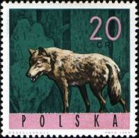 (1965-074) Марка Польша "Волк"   Животные II Θ
