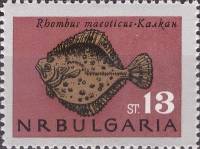 (1965-039) Марка Болгария "Камбала"   Рыбы Чёрного моря II Θ
