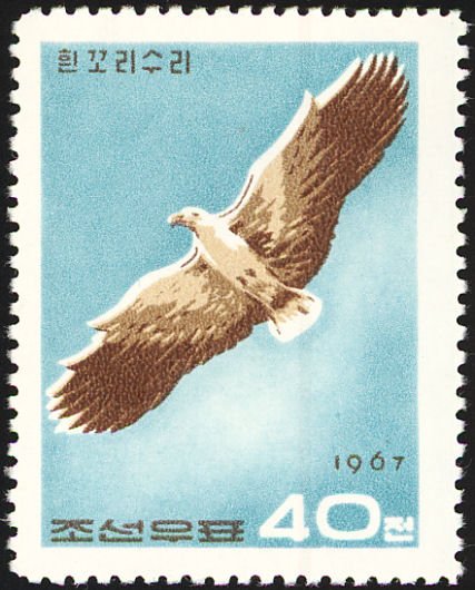 (1967-056) Марка Северная Корея &quot;Белоплечий орлан&quot;   Хищные птицы III Θ