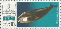 (1974-040) Марка СССР "Гренландский кит"    Международный териологический конгресс, Москва III Θ