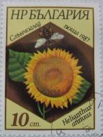 (1987-047) Марка Болгария "Подсолнечник однолетний"   Пчелы и растения II Θ