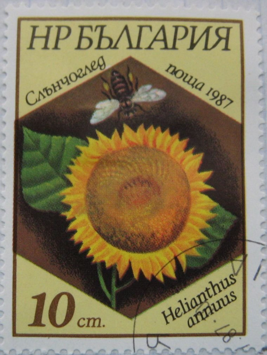 (1987-047) Марка Болгария &quot;Подсолнечник однолетний&quot;   Пчелы и растения II Θ