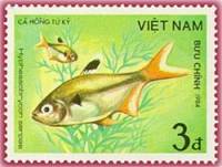 (1984-068) Марка Вьетнам "Тетра серповидная"    Рыбы III Θ