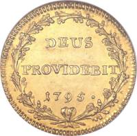 (№1793km144.1 (bern)) Монета Швейцария 1793 год 2 Duplone