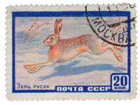 1960-013 Марка СССР Заяц-русак   Фауна I Θ