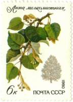(1980-091) Марка СССР "Мелколистная липа"    Охраняемые породы деревьев и кустарников II Θ