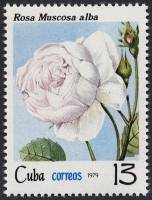 (1979-062) Марка Куба "Роза мускусная"    Розы III O