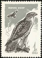 1965-133 Марка СССР Канюк   Хищные птицы III Θ