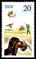 (1977-083) Марка Германия (ГДР) "Обыкновенный фазан"    Охота II Θ
