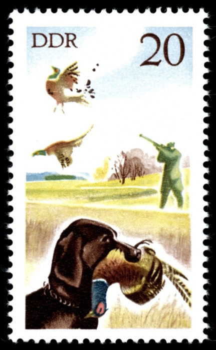 (1977-083) Марка Германия (ГДР) &quot;Обыкновенный фазан&quot;    Охота II Θ
