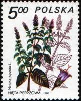 (1980-046) Марка Польша "Мята перечная"    Лекарственное растение III O