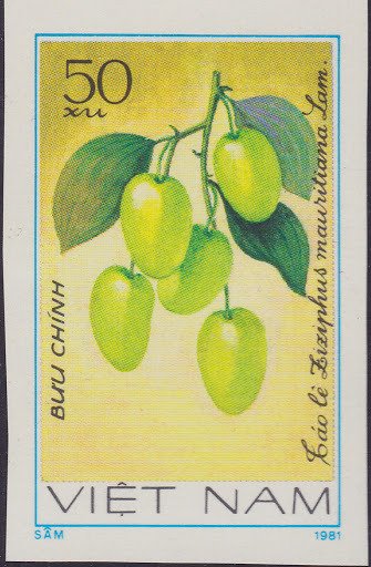 (1981-040a) Марка Вьетнам &quot;Зизифус мавританский&quot;  Без перфорации  Фрукты III O