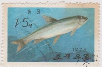 (1975-051) Марка Северная Корея &quot;Белый амур&quot;   Промысловые рыбы III Θ