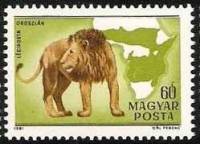 (1981-004) Марка Венгрия "Лев"    100 лет со дня рождения Каймана Киттенбергера. Фауна Африки II Θ