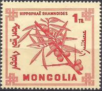 (1968-016) Марка Монголия "Облепиха крушиновидная"    Ягоды III O