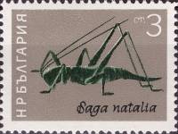 (1964-029) Марка Болгария "Сага (дыбка)"   Насекомые III Θ
