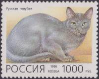 1996-008 Марка Россия Русская голубая  Домашние кошки III O