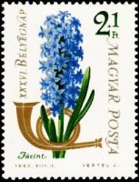 (1963-072) Марка Венгрия "Гиацинт восточный"    День почтовой марки III Θ